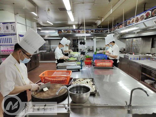 筑牢食品安全防线，营造放心消费环境——南宁全力提升餐饮服务食品安全保障水平与家用电器安装服务协同发展